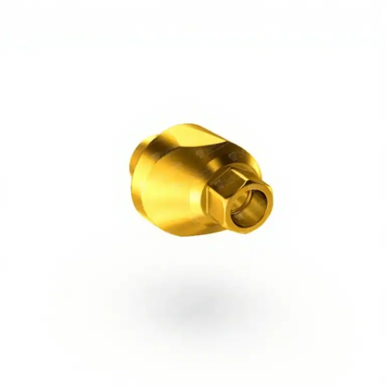 Internal Hex SP base connection of the 9° Golden Angled Abutment